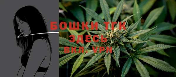 альфа пвп Гусев