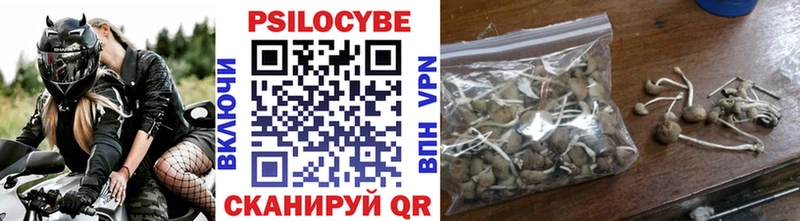 Псилоцибиновые грибы мицелий Ахтубинск
