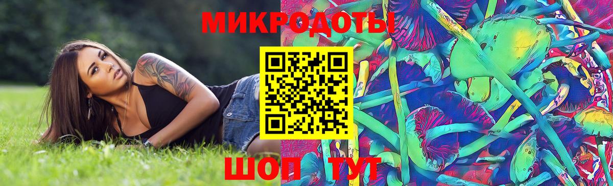 купить  сайты  Ахтубинск  Галлюциногенные грибы мицелий 