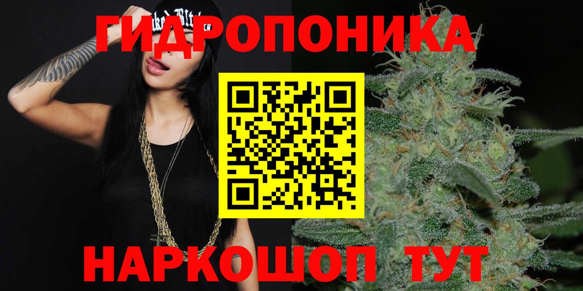 Бошки Шишки конопля  МАРИХУАНА VHQ  МАРИХУАНА гибрид  Ахтубинск 